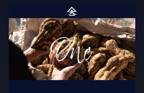 画像2: 山大一 One 720ml (2)